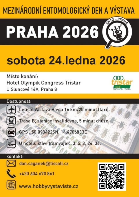 praha-leden-2026..jpg